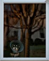 When is mommy coming home? Poster och Canvastavla