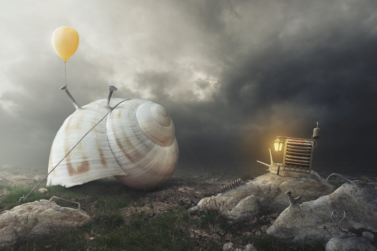 Return Back Home Poster och Canvastavla