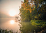 Swedish lake Poster och Canvastavla