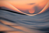 Capture the sun Poster och Canvastavla