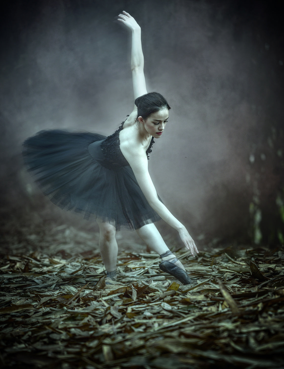 Ballerina Poster och Canvastavla