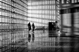 Shadow Walk Poster och Canvastavla