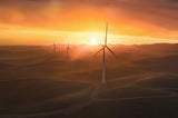 Sunrise at the Windmills Farm(4) Poster och Canvastavla