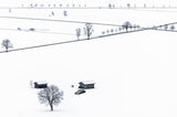 Field in Winter Poster och Canvastavla