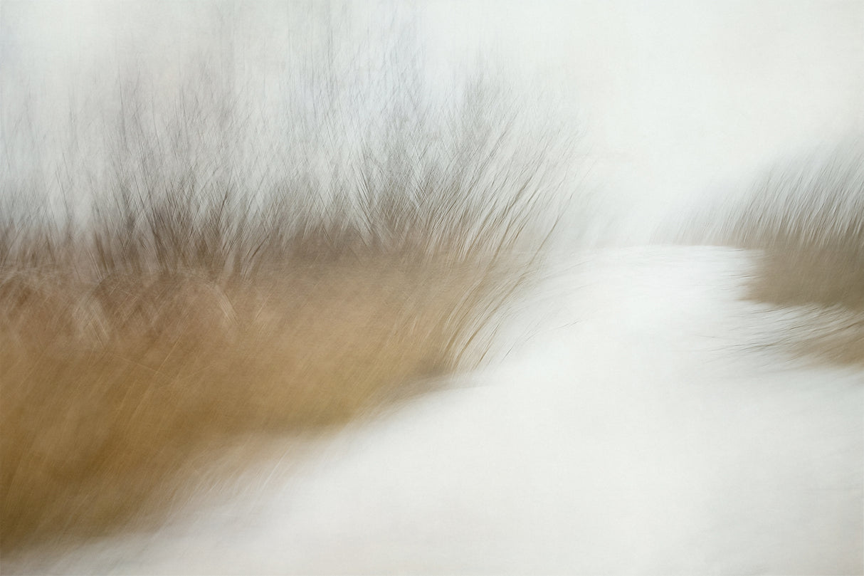 Wintertime Poster och Canvastavla