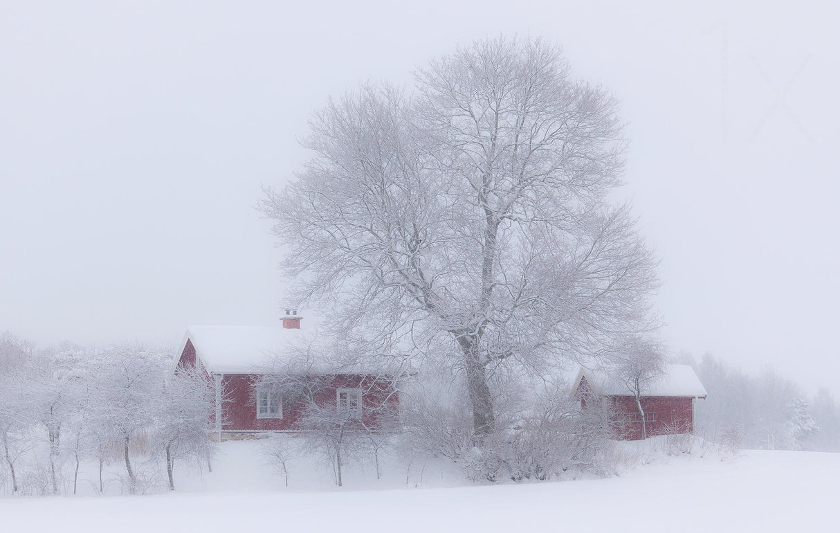 Winter idyll Poster och Canvastavla