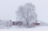 Winter idyll Poster och Canvastavla