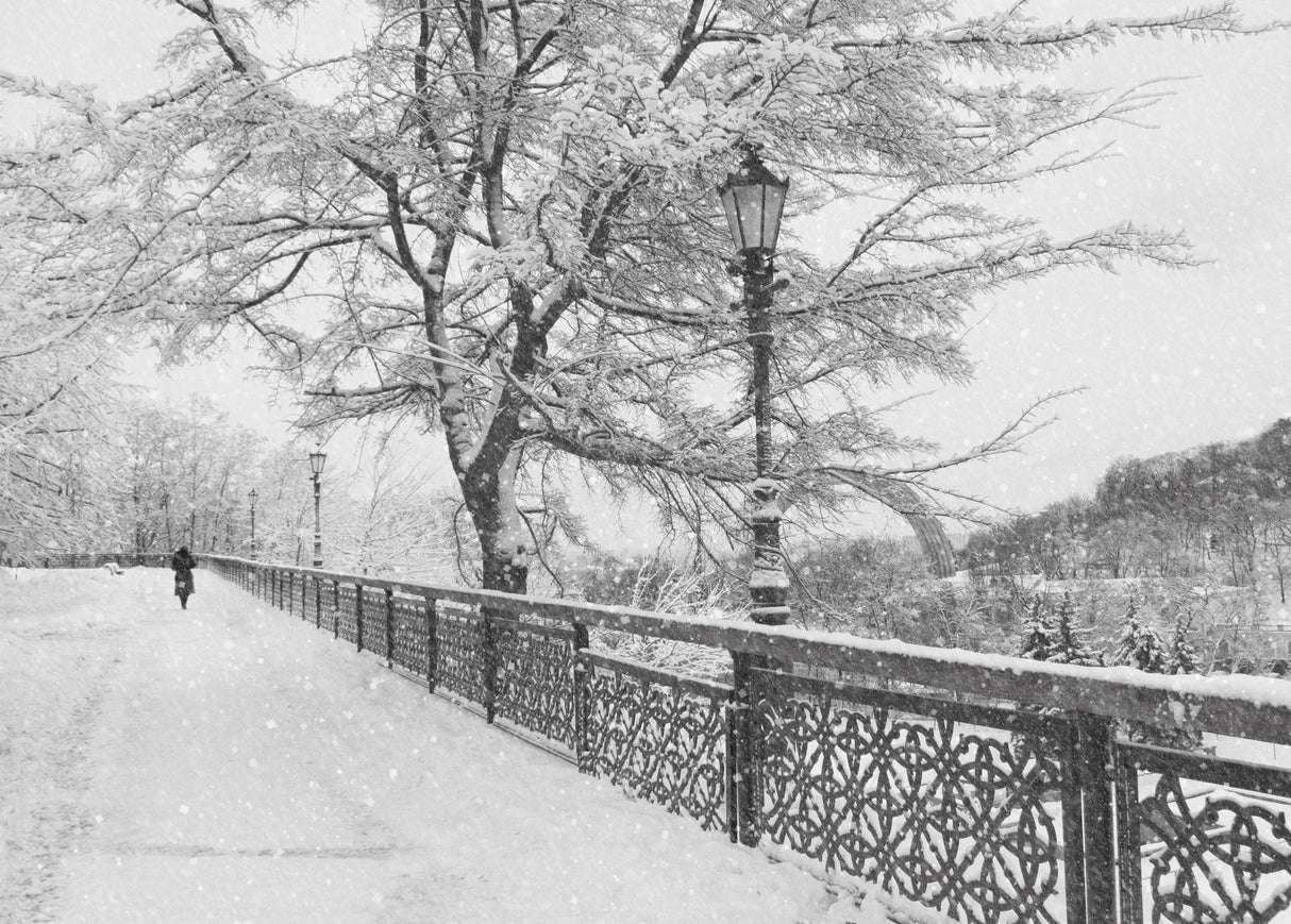 Winter in Kiev Poster och Canvastavla