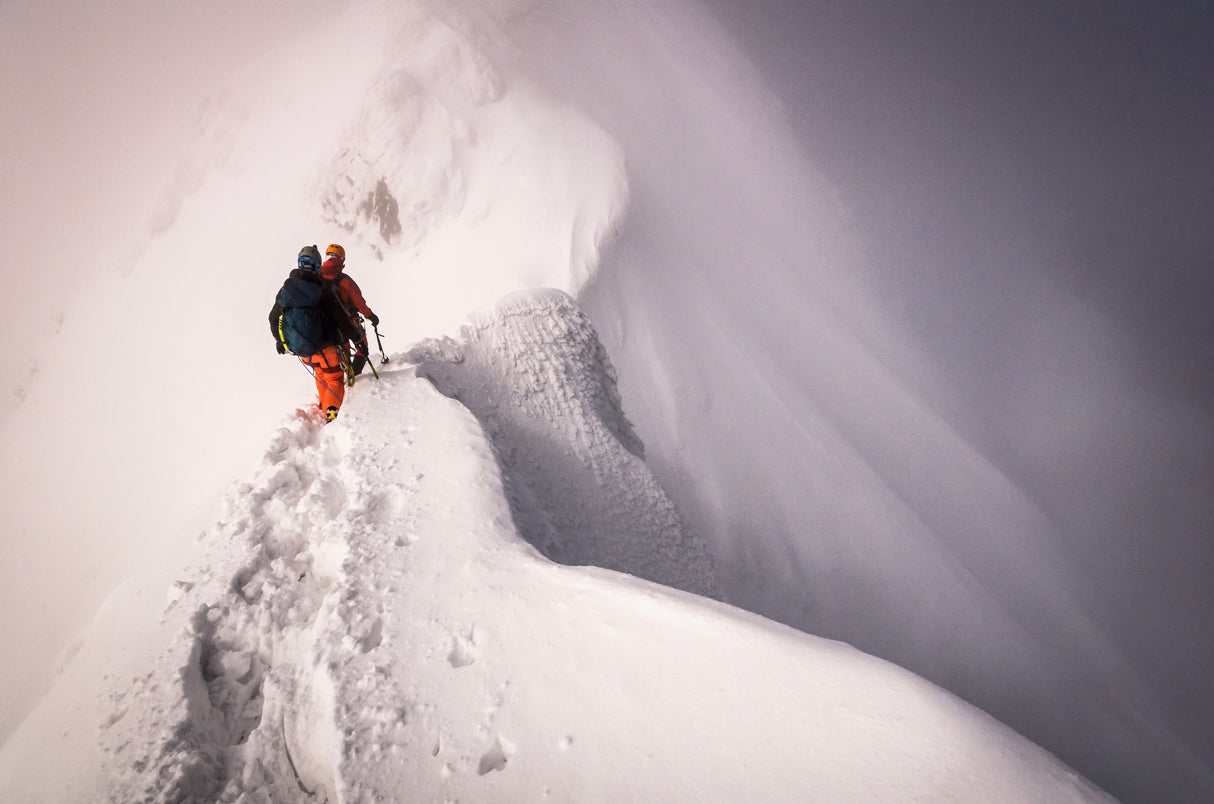 White hell. Poster och Canvastavla