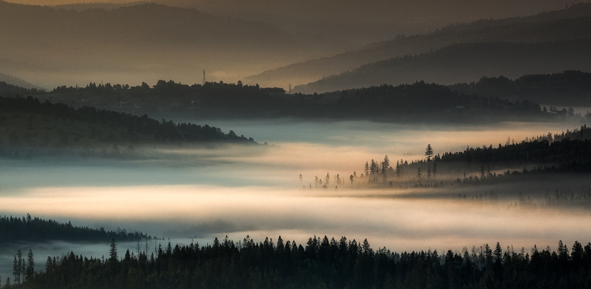 Magic of mists. Poster och Canvastavla