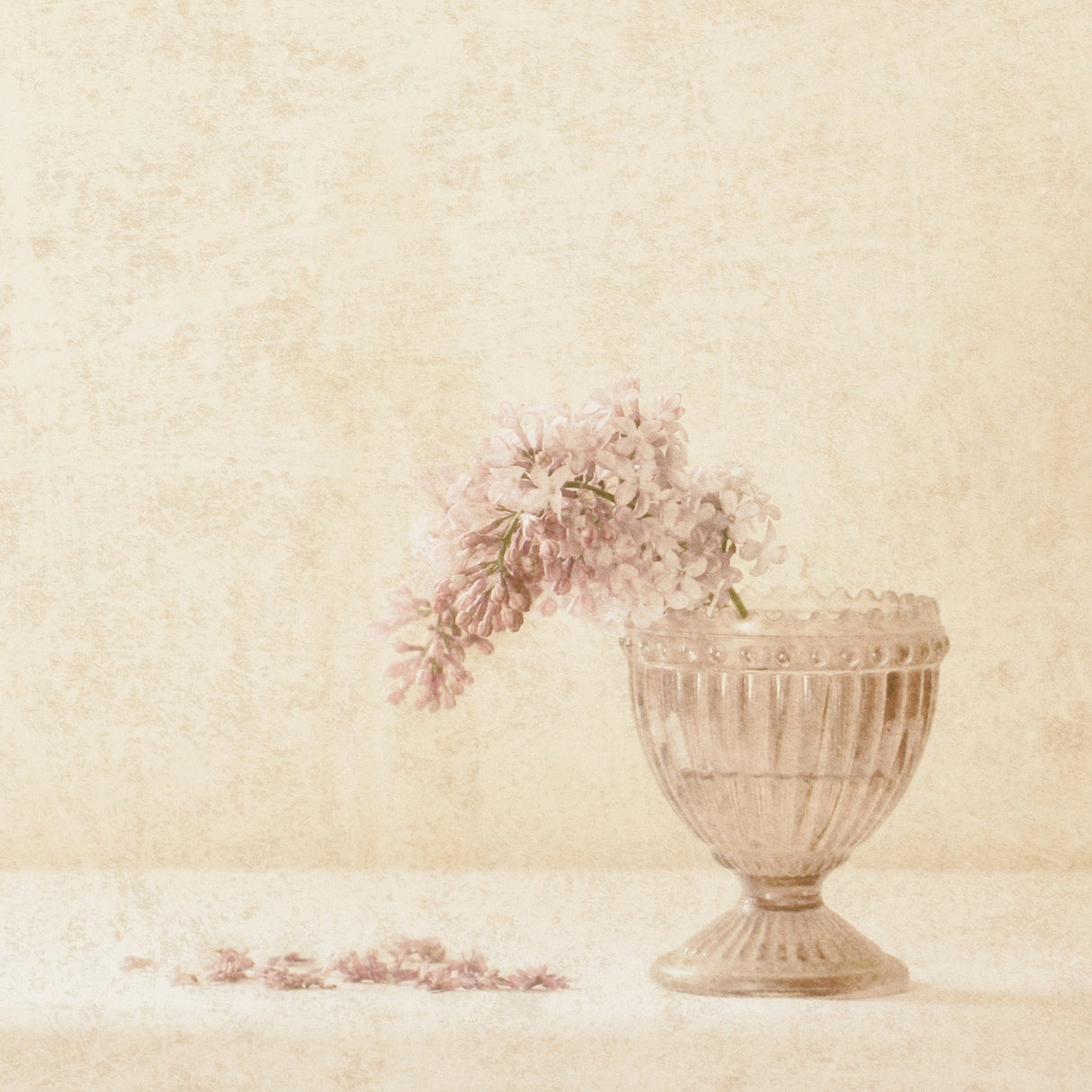 A Sprig of Lilac - Vintage mood Poster och Canvastavla
