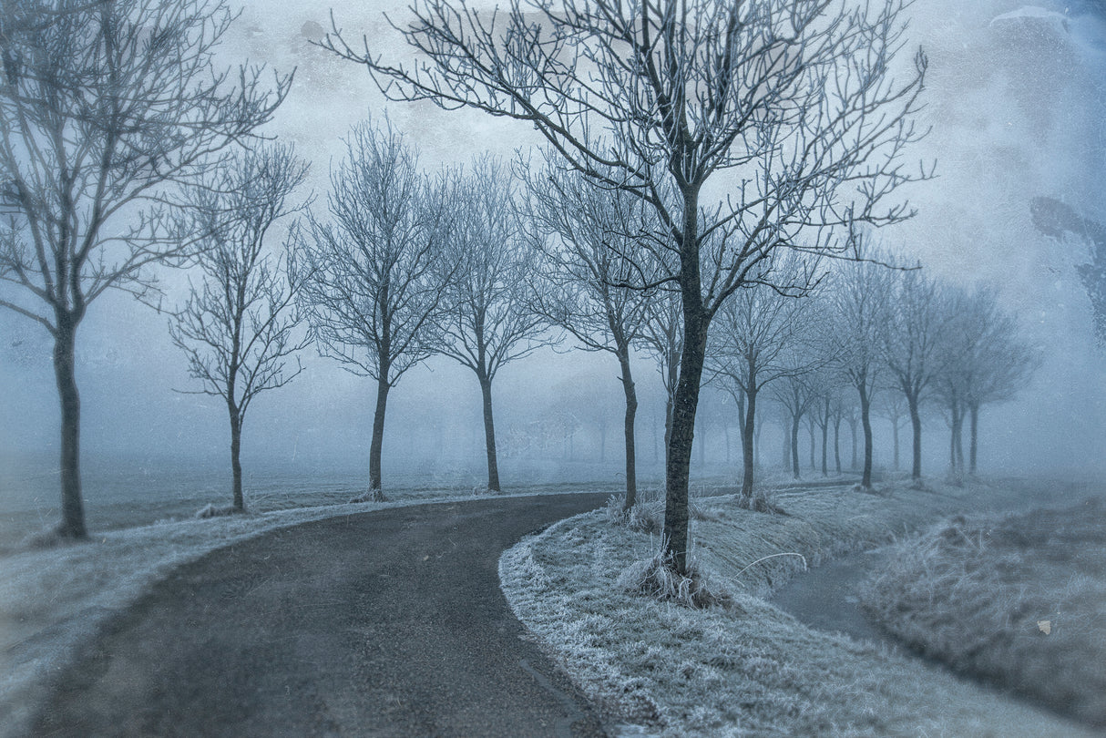 Poetry arrived from winter Poster och Canvastavla