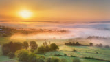 Autumn sun Poster och Canvastavla