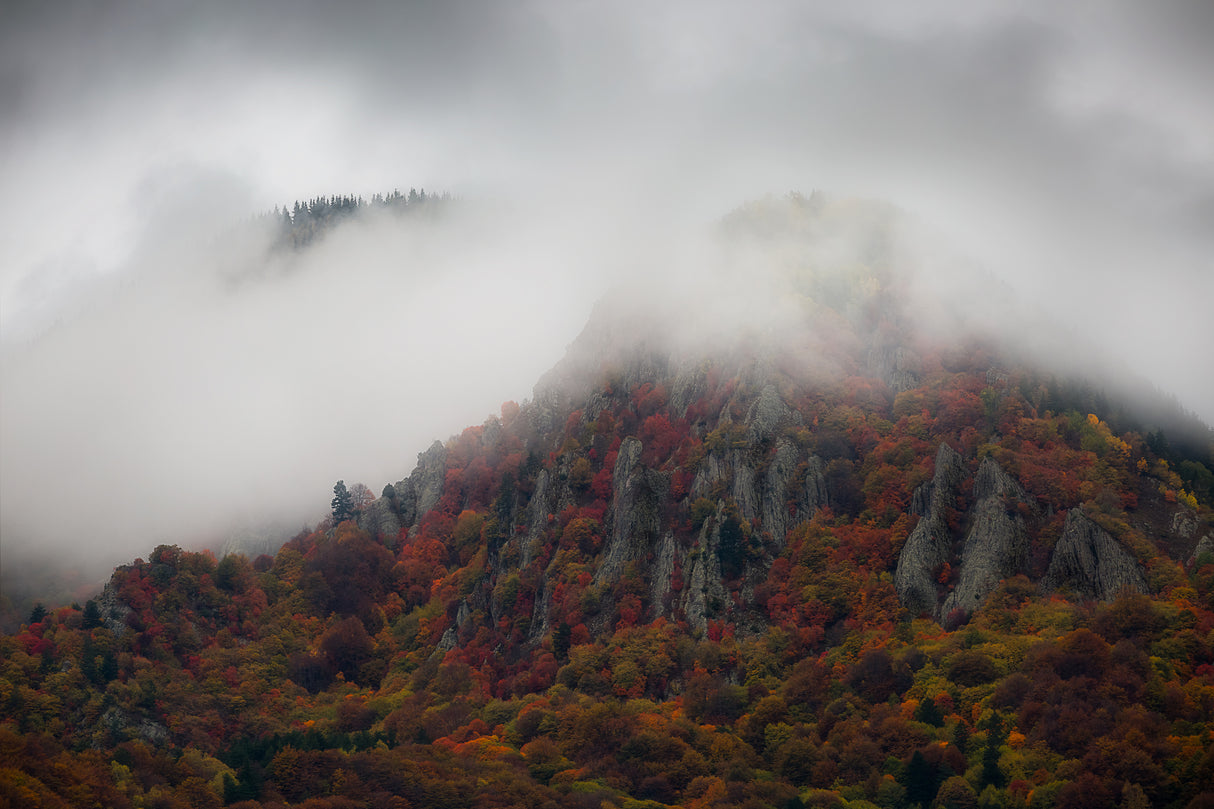 Misty Mountains Poster och Canvastavla