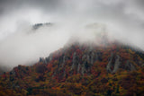 Misty Mountains Poster och Canvastavla