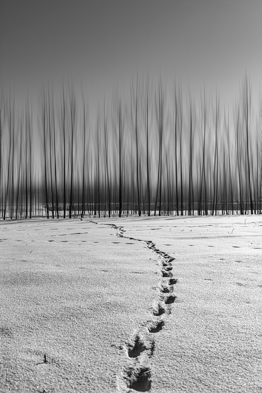 Footprint of Dream Poster och Canvastavla