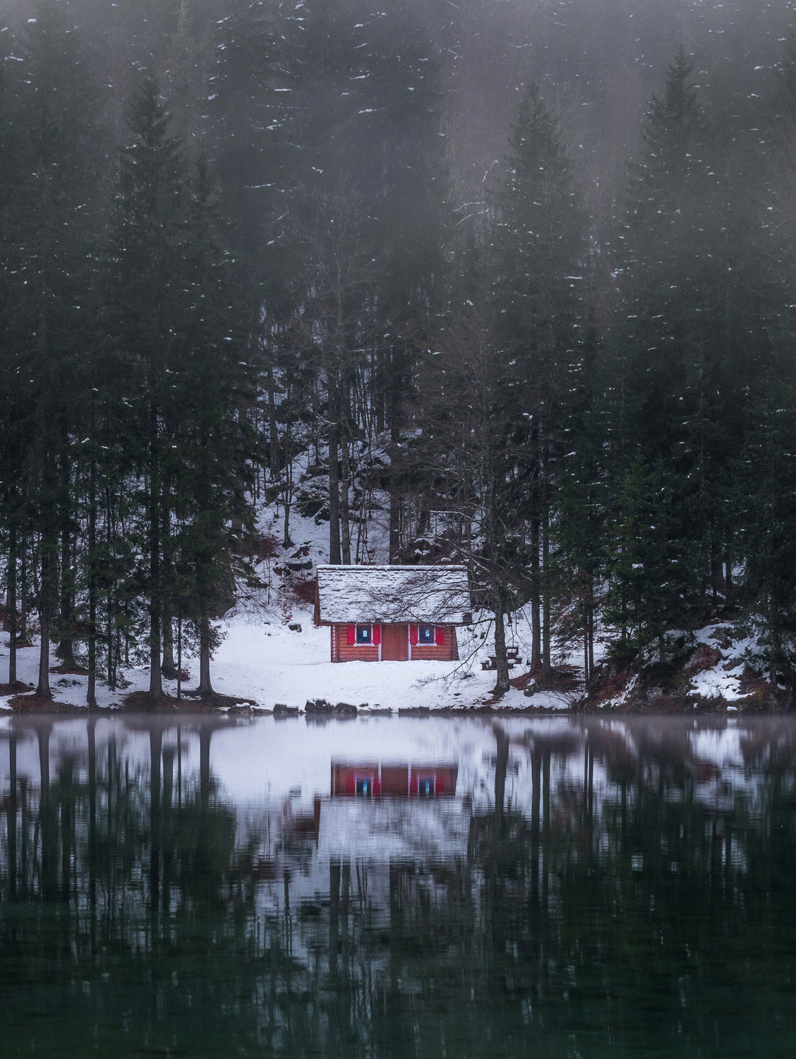 Cottage by the lake Poster och Canvastavla