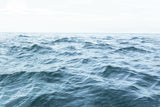 Wavy Horizon Poster och Canvastavla