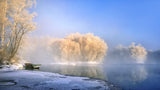 Morning fog and rime in Kuerbin Poster och Canvastavla
