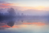 In the morning in the moor Poster och Canvastavla