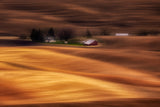 Farmhouse on Golden Fields Poster och Canvastavla