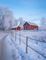 Scandinavian architecture Poster och Canvastavla