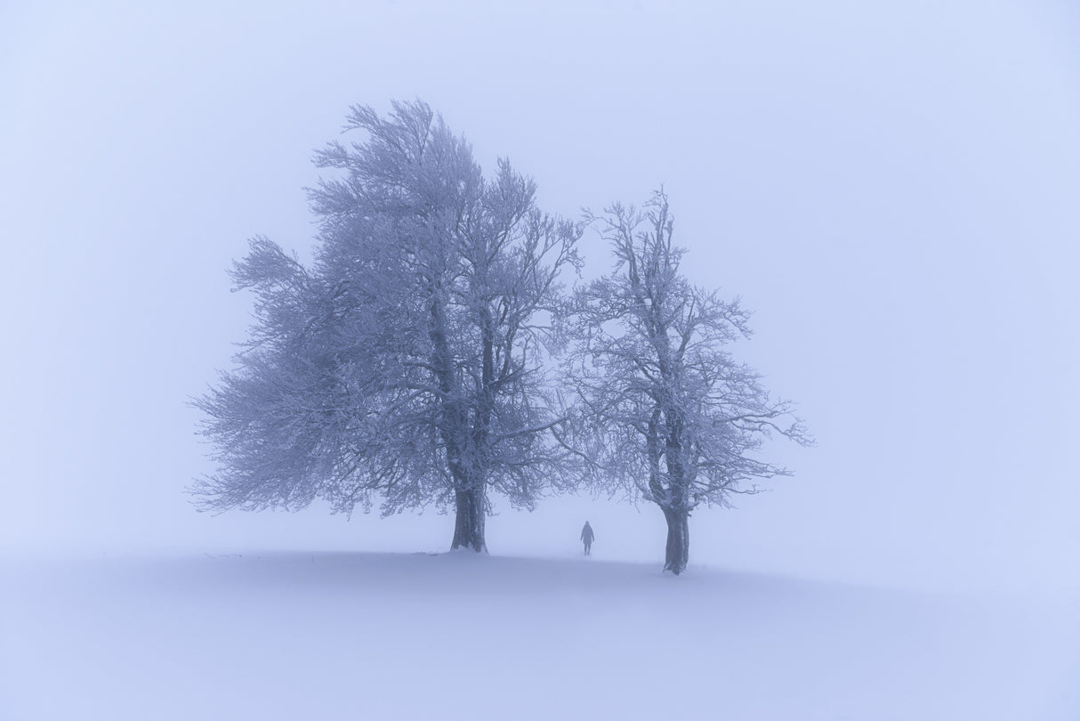 Into Nothingness Poster och Canvastavla
