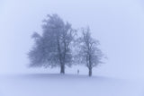 Into Nothingness Poster och Canvastavla