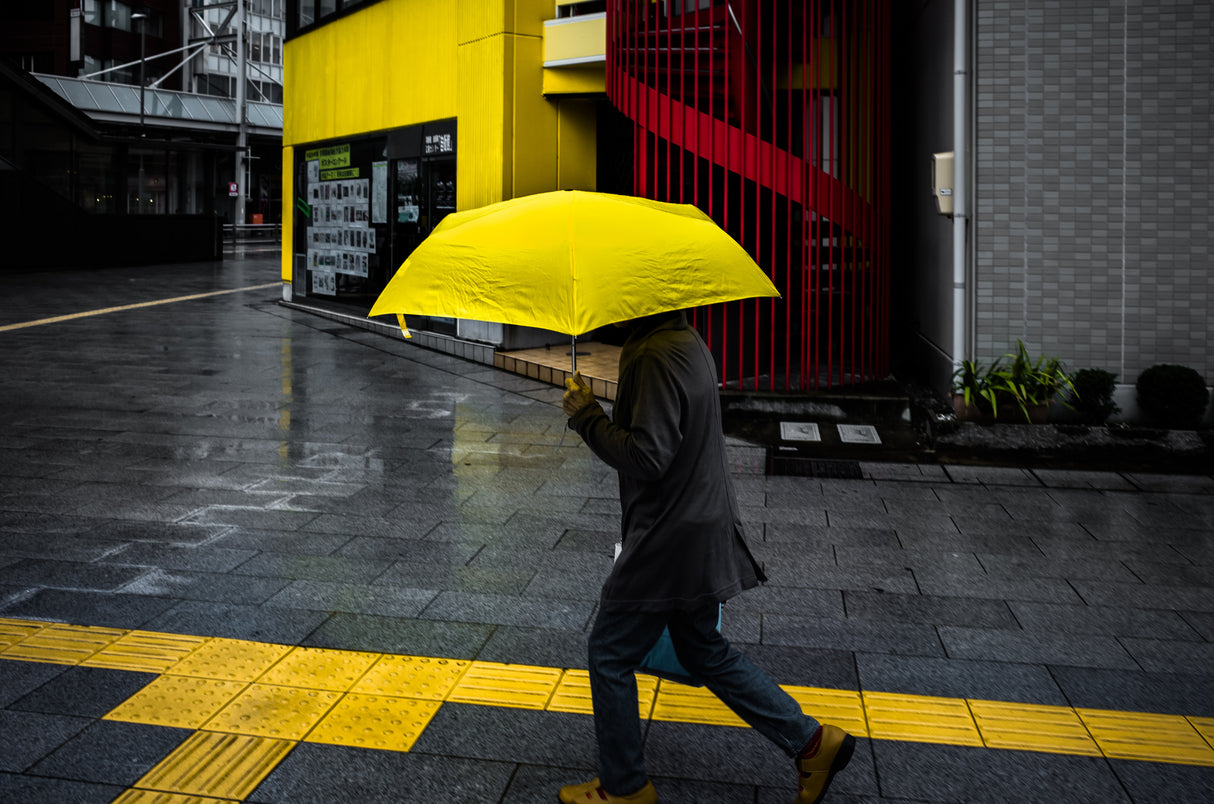 The yellow colors street Poster och Canvastavla