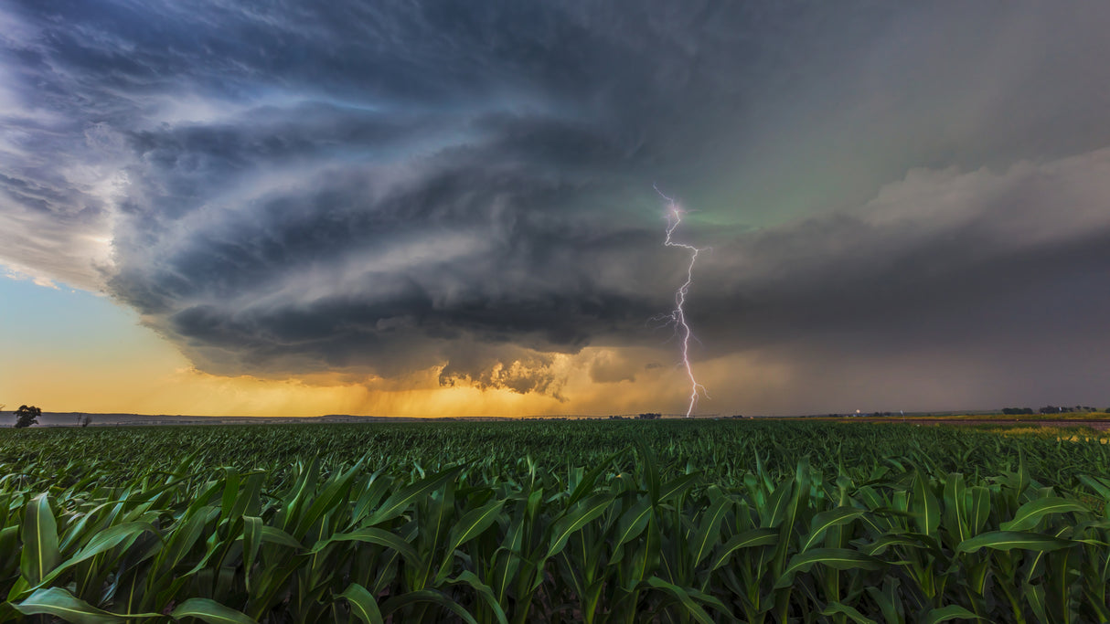 Supercell with Lightening Poster och Canvastavla