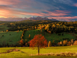 Early autumn morning over Osturna village Poster och Canvastavla