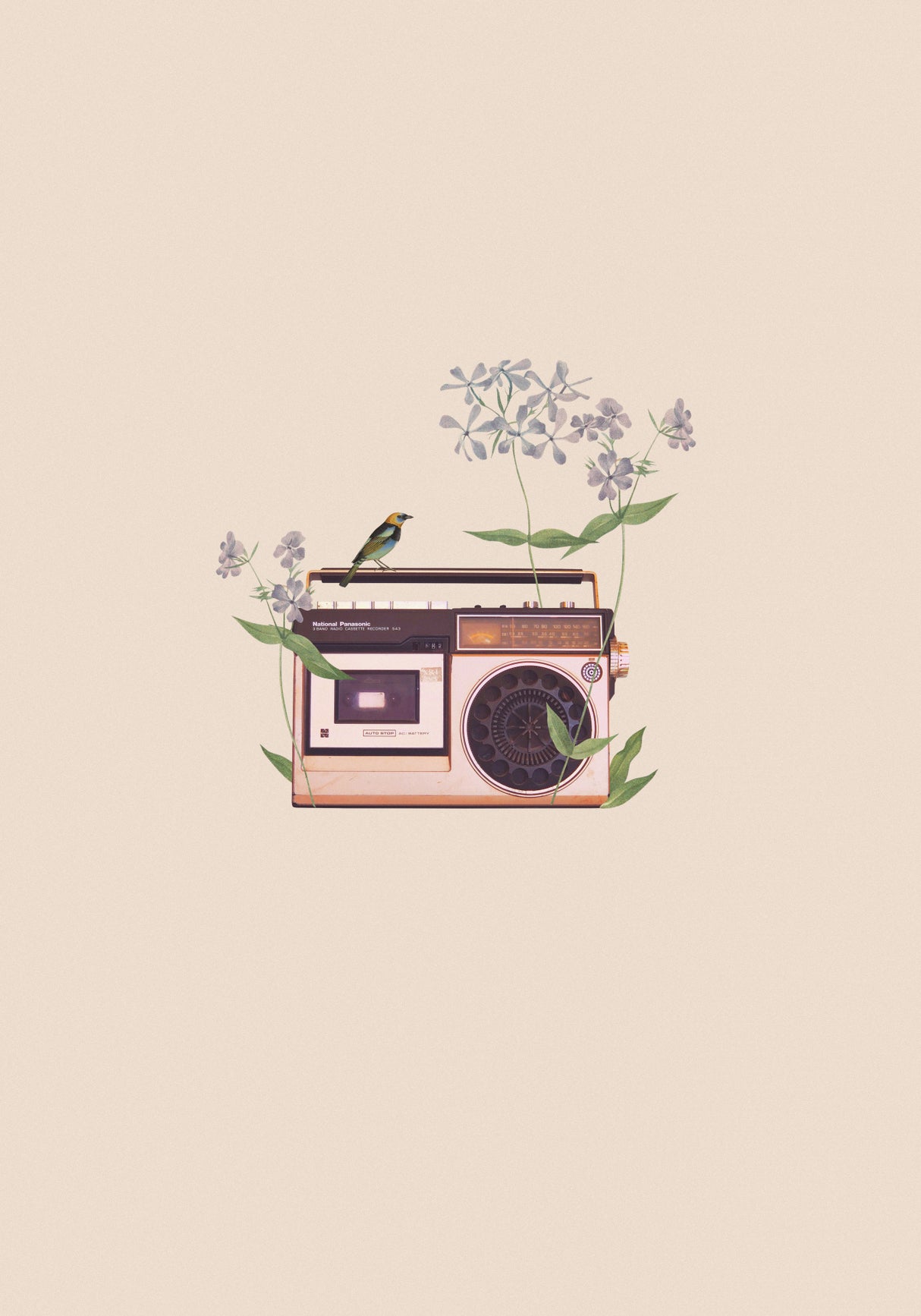 Floral vintage radio Poster och Canvastavla