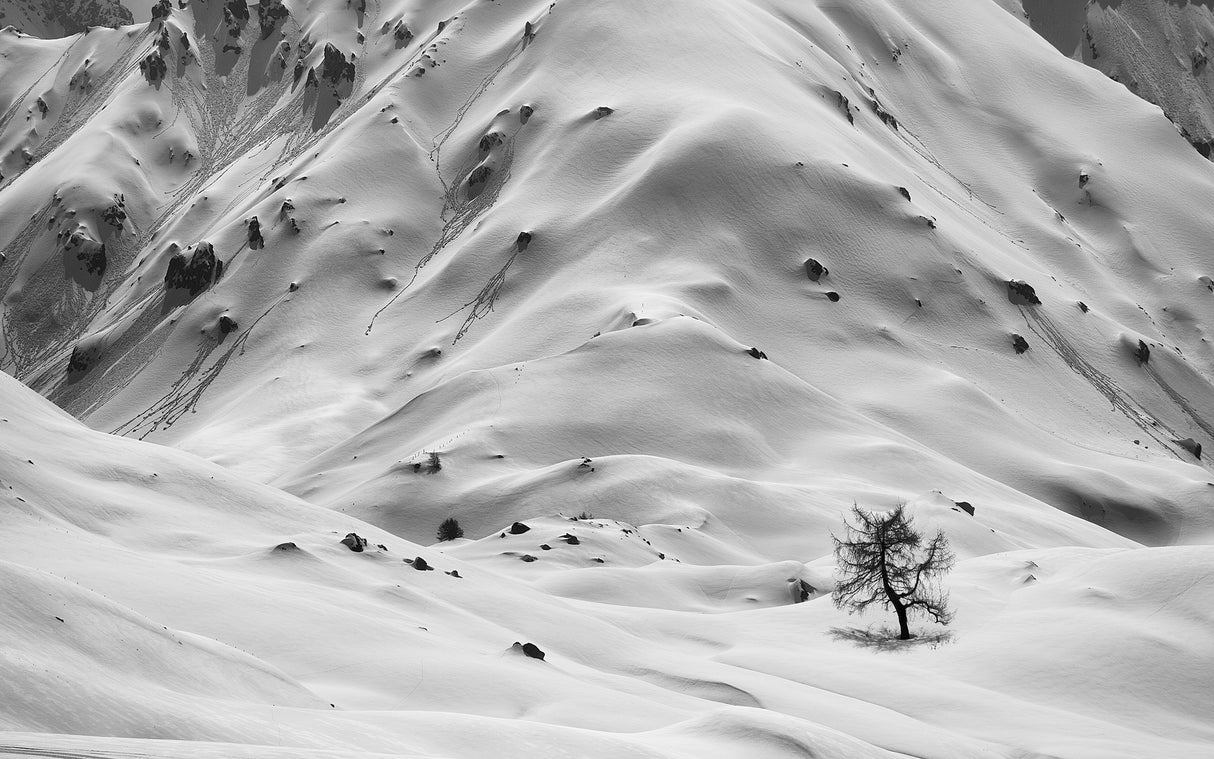 winter world Poster och Canvastavla