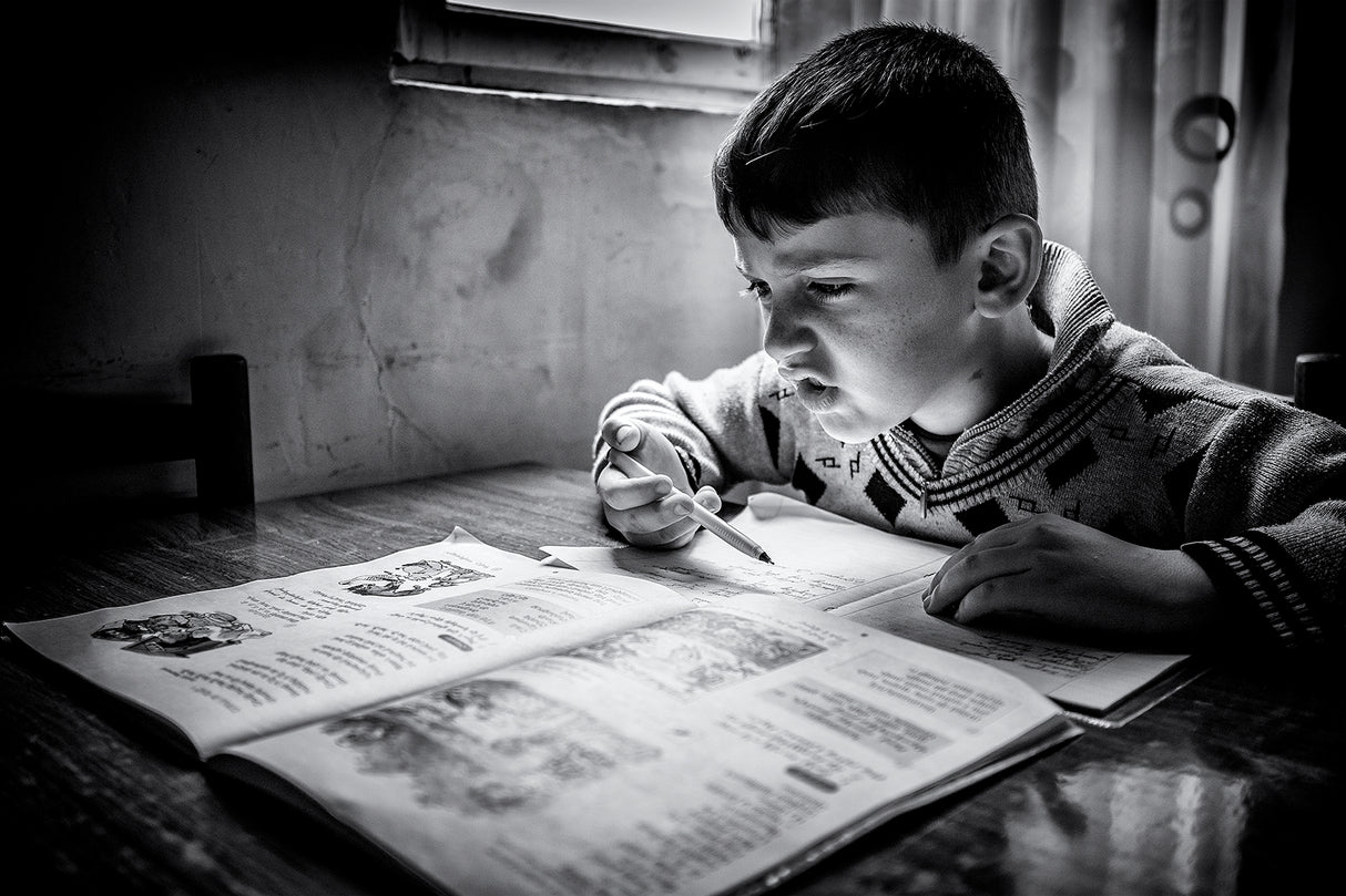 Distance learning, Semyonovka, Armenia Poster och Canvastavla