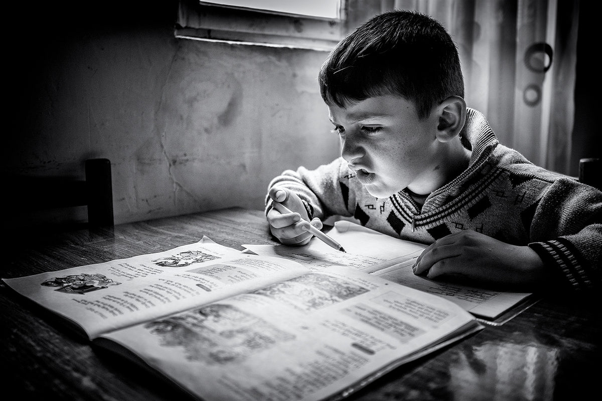 Distance learning, Semyonovka, Armenia Poster och Canvastavla