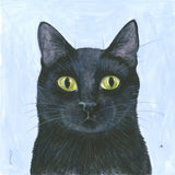 The Cat's Whisker Poster och Canvastavla