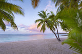 Tropical Beach Poster och Canvastavla