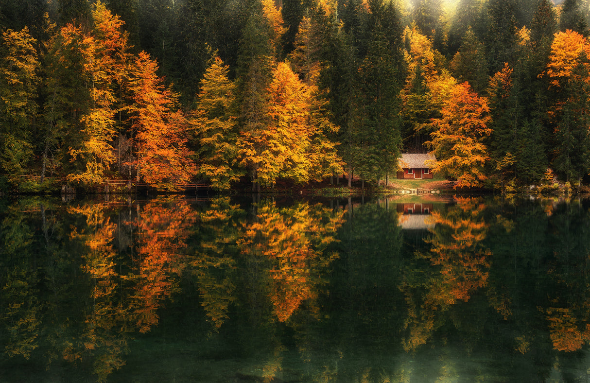 Autumn impressions Poster och Canvastavla