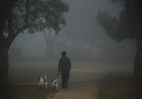 Morning Walk Poster och Canvastavla