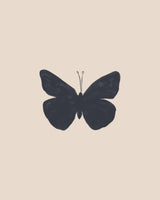 Butterfly Poster och Canvastavla
