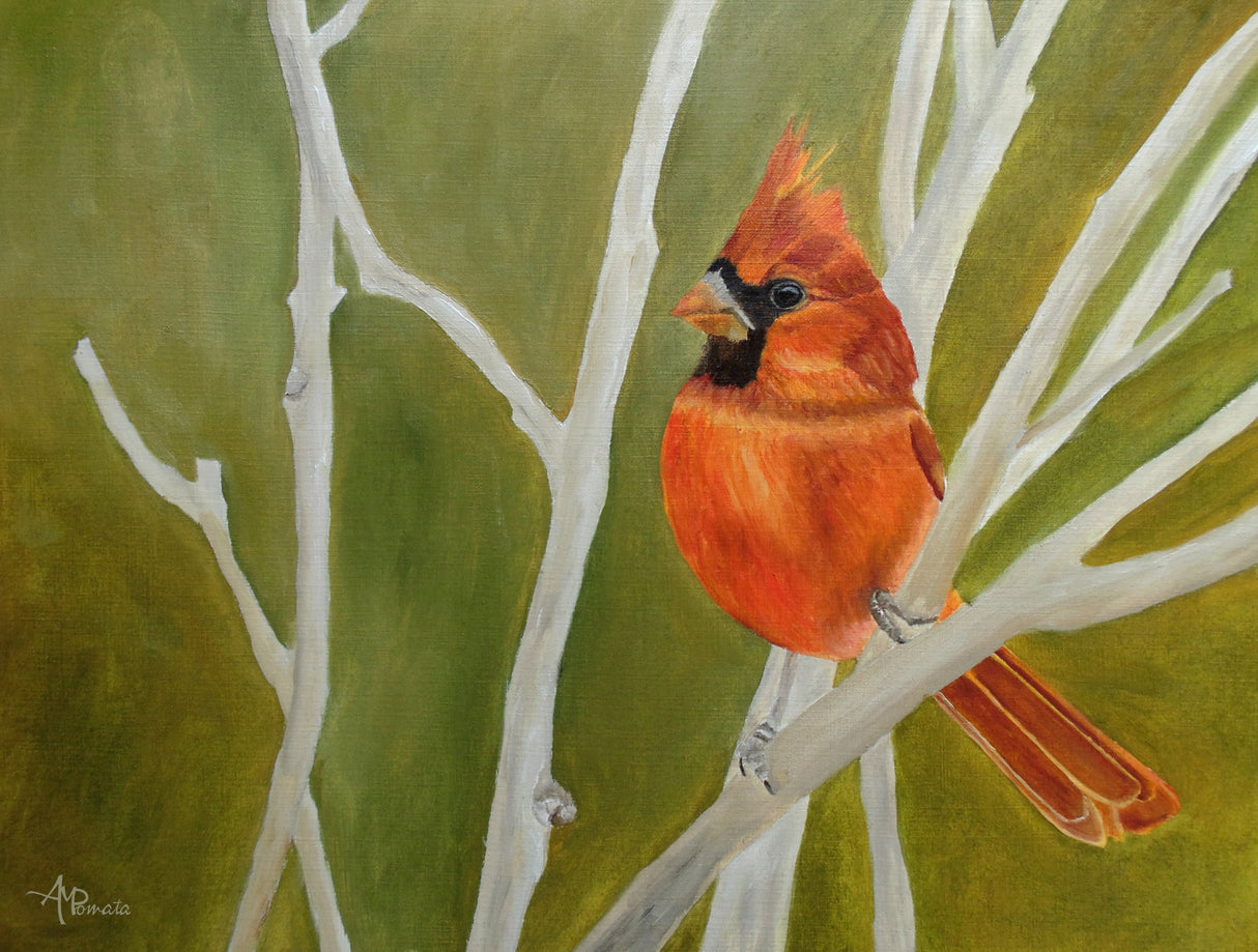 Cutest Ambushed Cardinal Poster och Canvastavla