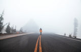 The road less travelled Poster och Canvastavla