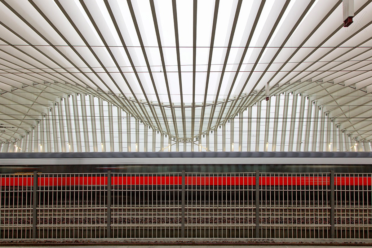 the red line Poster och Canvastavla