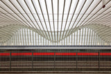 the red line Poster och Canvastavla