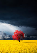 Red tree Poster och Canvastavla