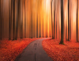 Path to unknown Poster och Canvastavla