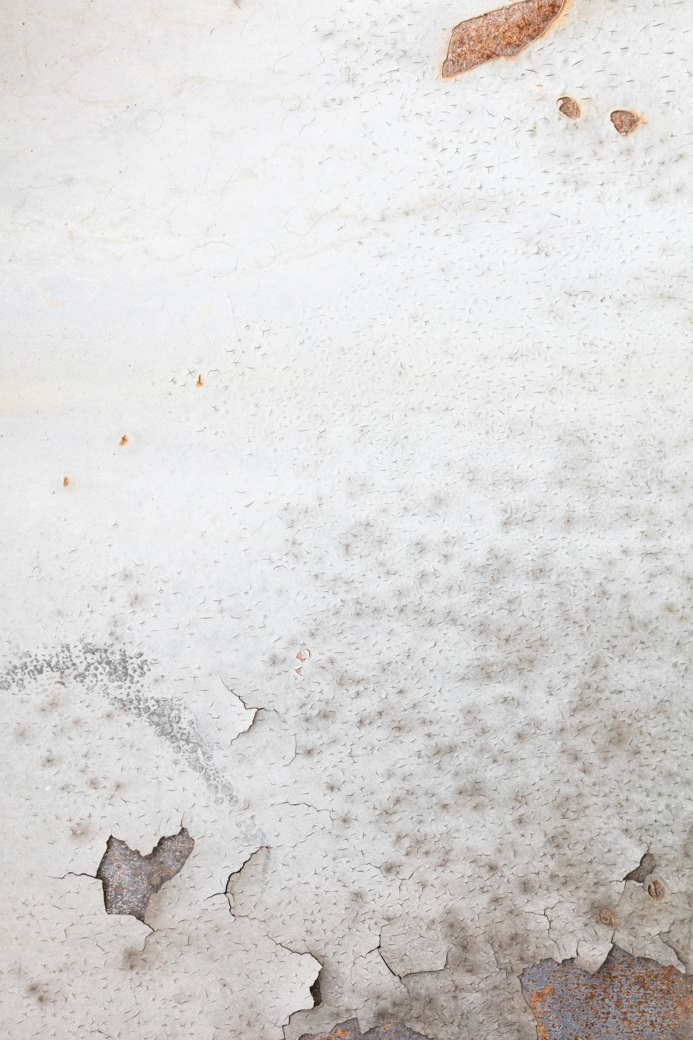 corrugated iron wall, white Poster och Canvastavla