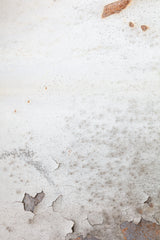corrugated iron wall, white Poster och Canvastavla