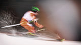 Ski 2019 Poster och Canvastavla