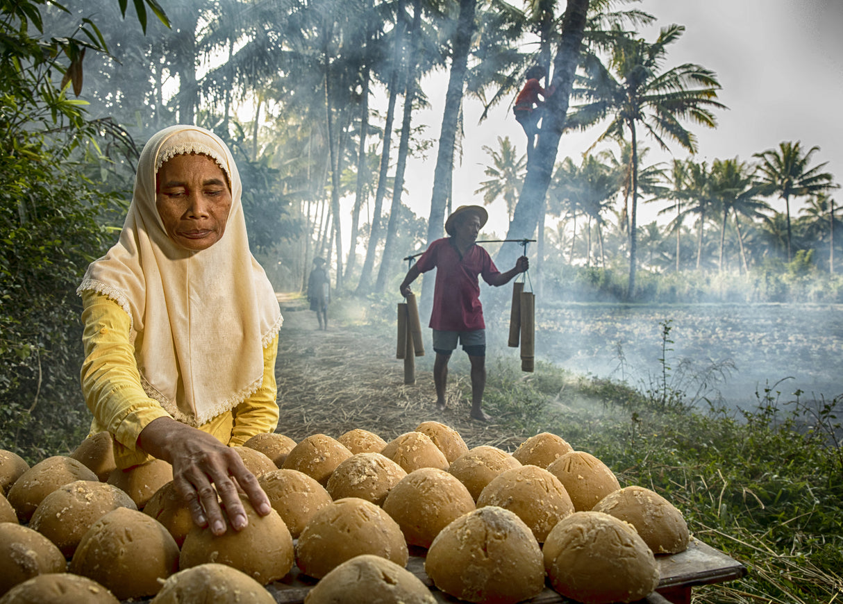 Selling Palm Sugar Poster och Canvastavla
